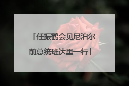 任振鹤会见尼泊尔前总统班达里一行