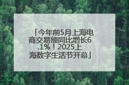今年前5月上海电商交易额同比增长6.1%！2025上海数字生活节开幕