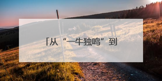 从“一牛独鸣”到“千牛共舞”——古渡河口乡村振兴的“牧场答卷”