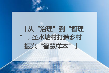 从“治理”到“智理”，圣水塘村打造乡村振兴“智慧样本”
