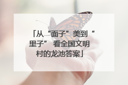 从“面子”美到“里子” 看全国文明村的龙池答案