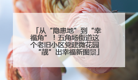 从“隐患地”到“幸福角”！五角场街道这个老旧小区党建微花园“靓”出幸福新图景