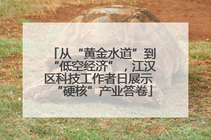 从“黄金水道”到“低空经济”，江汉区科技工作者日展示“硬核”产业答卷