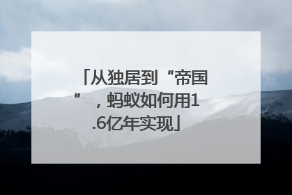 从独居到“帝国”，蚂蚁如何用1.6亿年实现