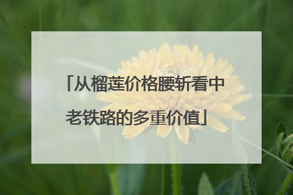 从榴莲价格腰斩看中老铁路的多重价值