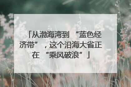 从渤海湾到 “蓝色经济带”，这个沿海大省正在 “乘风破浪”