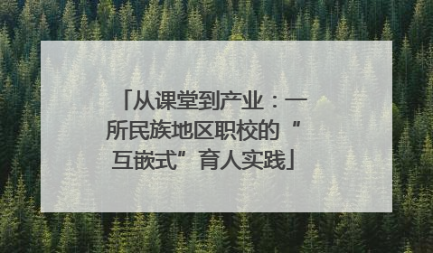 从课堂到产业：一所民族地区职校的“互嵌式”育人实践