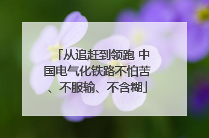 从追赶到领跑 中国电气化铁路不怕苦、不服输、不含糊
