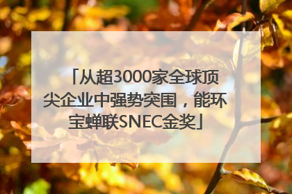 从超3000家全球顶尖企业中强势突围，能环宝蝉联SNEC金奖