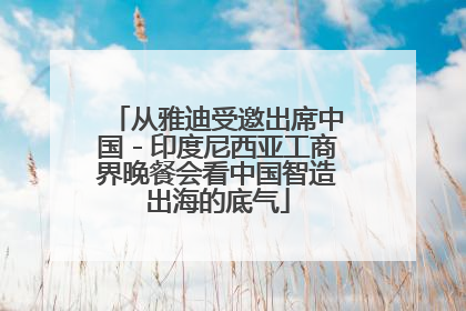 从雅迪受邀出席中国－印度尼西亚工商界晚餐会看中国智造出海的底气