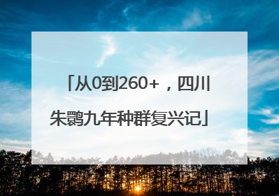 从0到260+，四川朱鹮九年种群复兴记