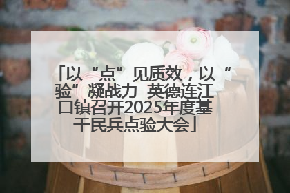 以“点”见质效，以“验”凝战力  英德连江口镇召开2025年度基干民兵点验大会