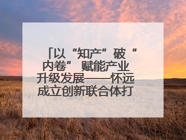 以“知产”破“内卷” 赋能产业升级发展——怀远成立创新联合体打造汽车零部件产业新高地