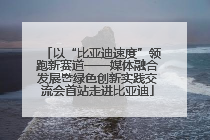 以“比亚迪速度”领跑新赛道——媒体融合发展暨绿色创新实践交流会首站走进比亚迪