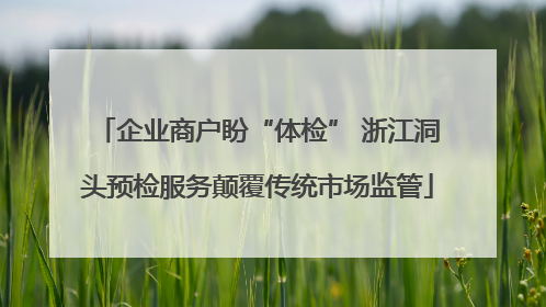 企业商户盼“体检” 浙江洞头预检服务颠覆传统市场监管