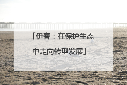 伊春：在保护生态中走向转型发展