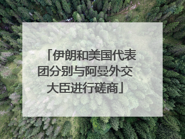 伊朗和美国代表团分别与阿曼外交大臣进行磋商