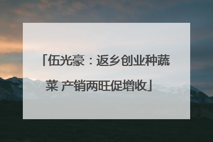 伍光豪：返乡创业种蔬菜 产销两旺促增收