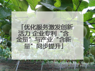 优化服务激发创新活力 企业专利“含金量”与产业“含新量”同步提升