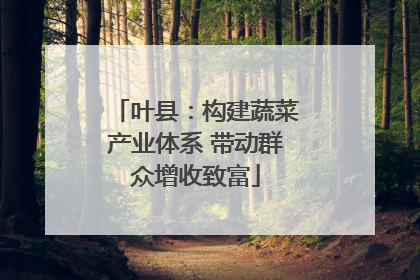 叶县：构建蔬菜产业体系 带动群众增收致富