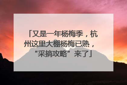 又是一年杨梅季，杭州这里大棚杨梅已熟，“采摘攻略”来了