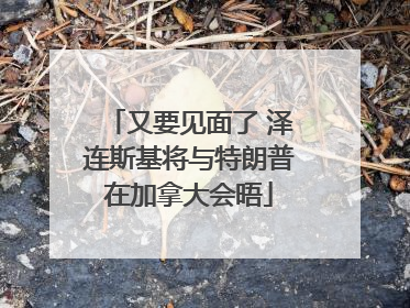 又要见面了 泽连斯基将与特朗普在加拿大会晤