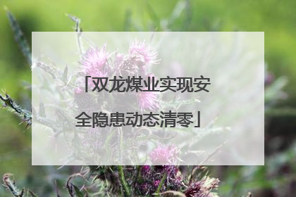 双龙煤业实现安全隐患动态清零