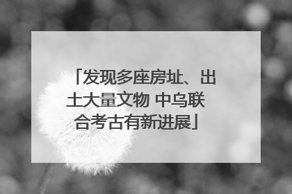 发现多座房址、出土大量文物 中乌联合考古有新进展