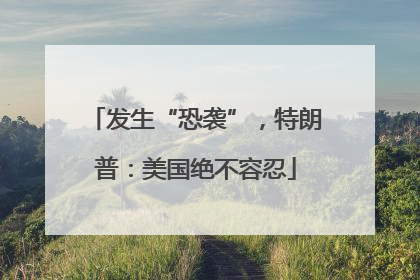 发生“恐袭”，特朗普：美国绝不容忍