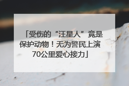 受伤的“汪星人”竟是保护动物！无为警民上演70公里爱心接力