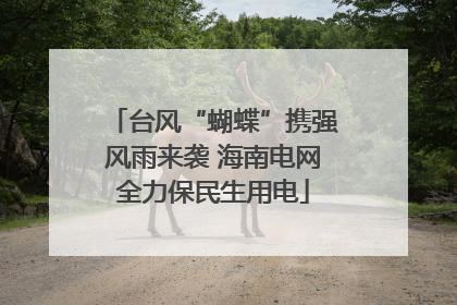 台风“蝴蝶”携强风雨来袭 海南电网全力保民生用电