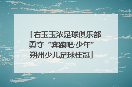 右玉玉浓足球俱乐部勇夺“奔跑吧·少年”朔州少儿足球桂冠