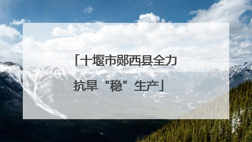 十堰市郧西县全力抗旱“稳”生产