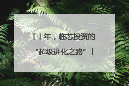 十年，临芯投资的“超级进化之路”