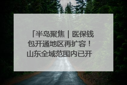 半岛聚焦｜医保钱包开通地区再扩容！山东全域范围内已开通，有何用处？如何操作？速戳→