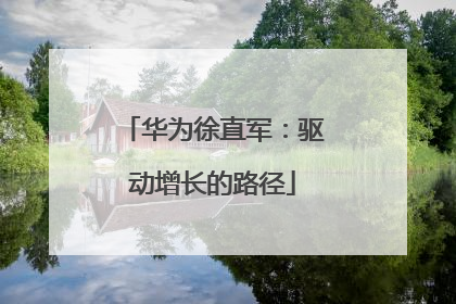 华为徐直军：驱动增长的路径
