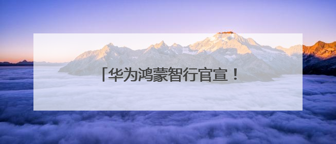 华为鸿蒙智行官宣！智界全系补贴2万元