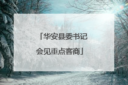 华安县委书记会见重点客商