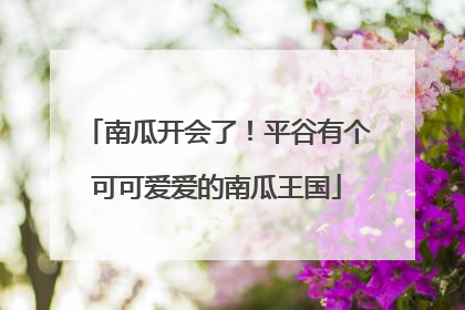 南瓜开会了！平谷有个可可爱爱的南瓜王国