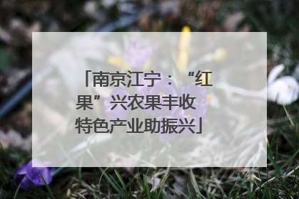 南京江宁：“红果”兴农果丰收 特色产业助振兴