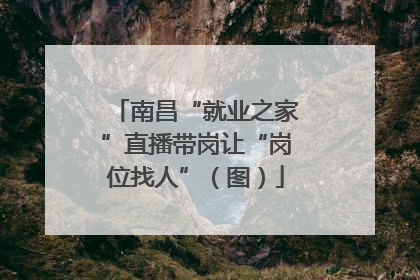 南昌“就业之家”直播带岗让“岗位找人”（图）