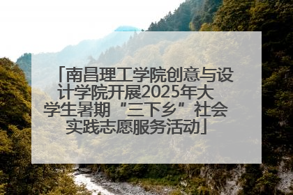 南昌理工学院创意与设计学院开展2025年大学生暑期“三下乡”社会实践志愿服务活动
