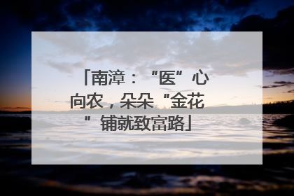 南漳：“医”心向农，朵朵“金花”铺就致富路