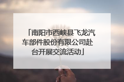 南阳市西峡县飞龙汽车部件股份有限公司赴台开展交流活动
