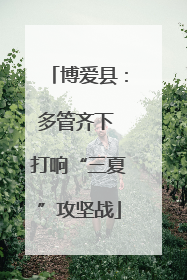 博爱县：多管齐下 打响“三夏”攻坚战