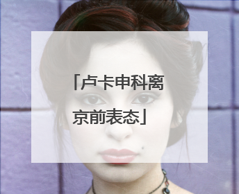 卢卡申科离京前表态