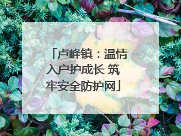 卢峰镇：温情入户护成长 筑牢安全防护网