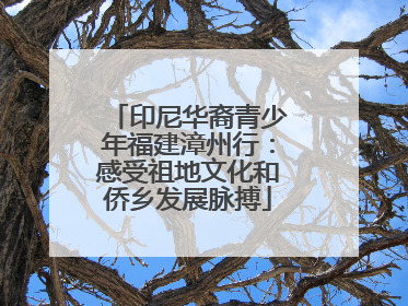印尼华裔青少年福建漳州行：感受祖地文化和侨乡发展脉搏