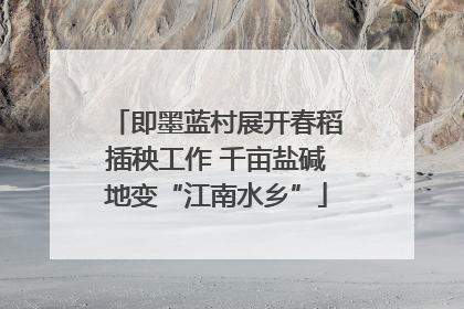 即墨蓝村展开春稻插秧工作 千亩盐碱地变“江南水乡”