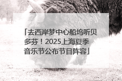 去西岸梦中心船坞听贝多芬！2025上海夏季音乐节公布节目阵容